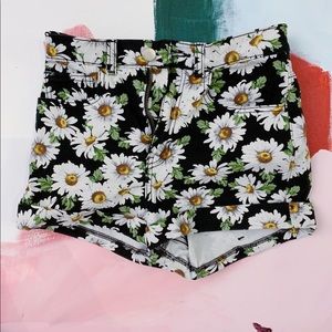 24 daisy jeans shorts barely worn